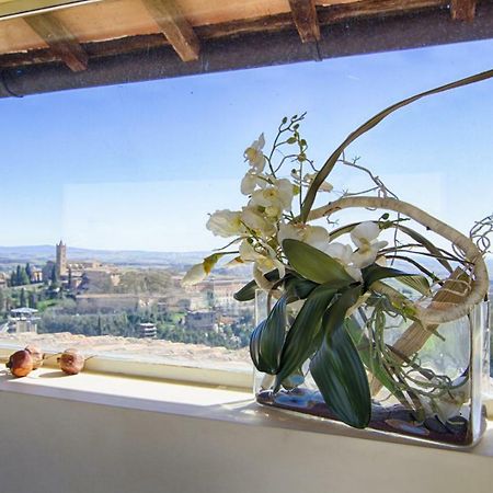 Rinidia - Siena Centro Apartment Ngoại thất bức ảnh